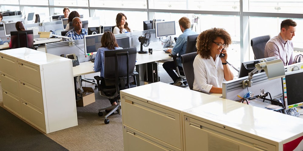 Several employees sit in front of computers in their cubicles.