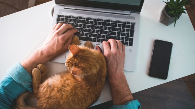 A man working remotely from a home office with his cat