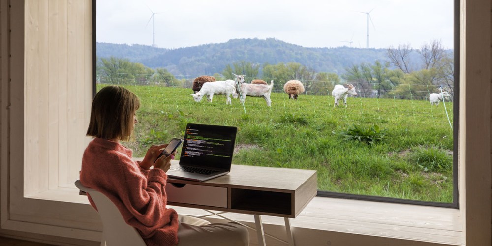 A woman sits at a desk with a laptop open, looking out the window at a field full of goats.