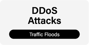DDoS Attacks