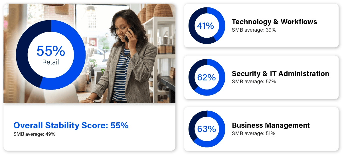 Business stability image referencing overall stability score and scores for technology & workflows, security & IT administration, and business management.